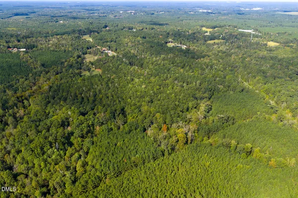 a view of a green field with lots of bushes