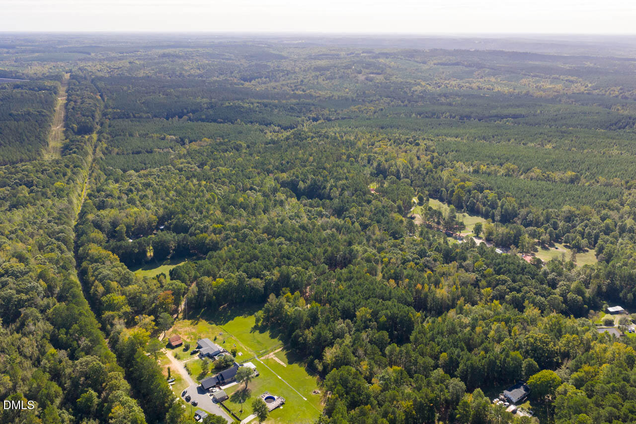 262 Ellis Road Moncure, NC 27559 - Photo 8 of 29 a view of a forest with a yard