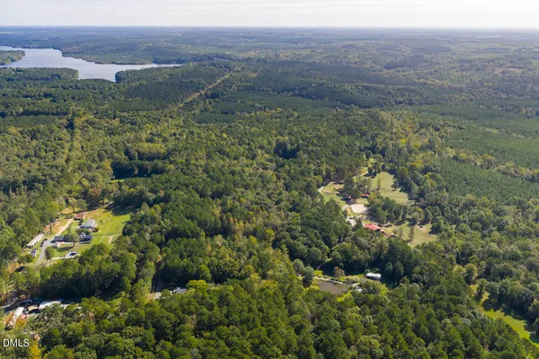 a view of a green field with lots of bushes
