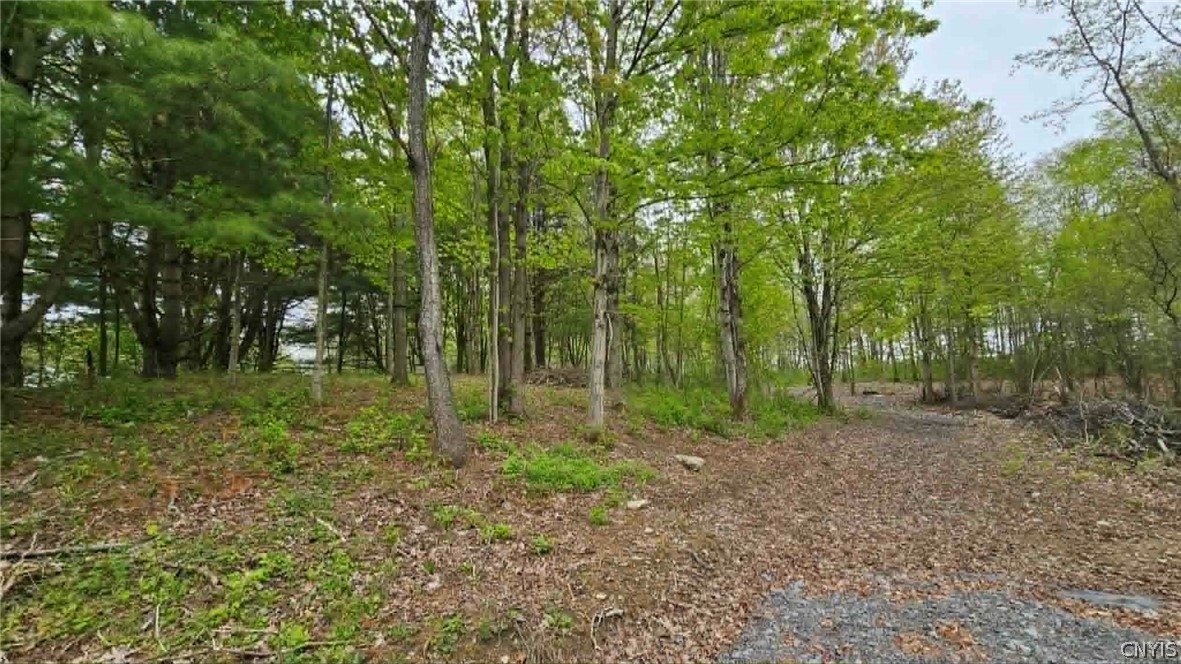 2 Co Rt Pulaski, NY 13142 - Photo 4 of 10