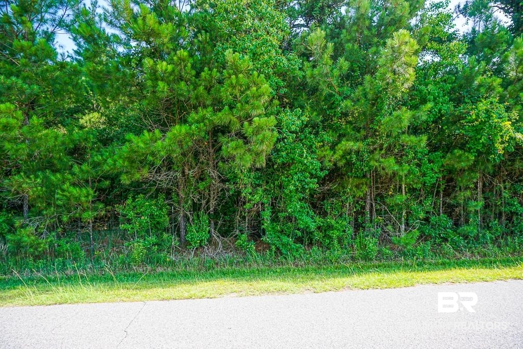 0 Riverview Drive Coden, AL 36523 - Photo 2 of 4