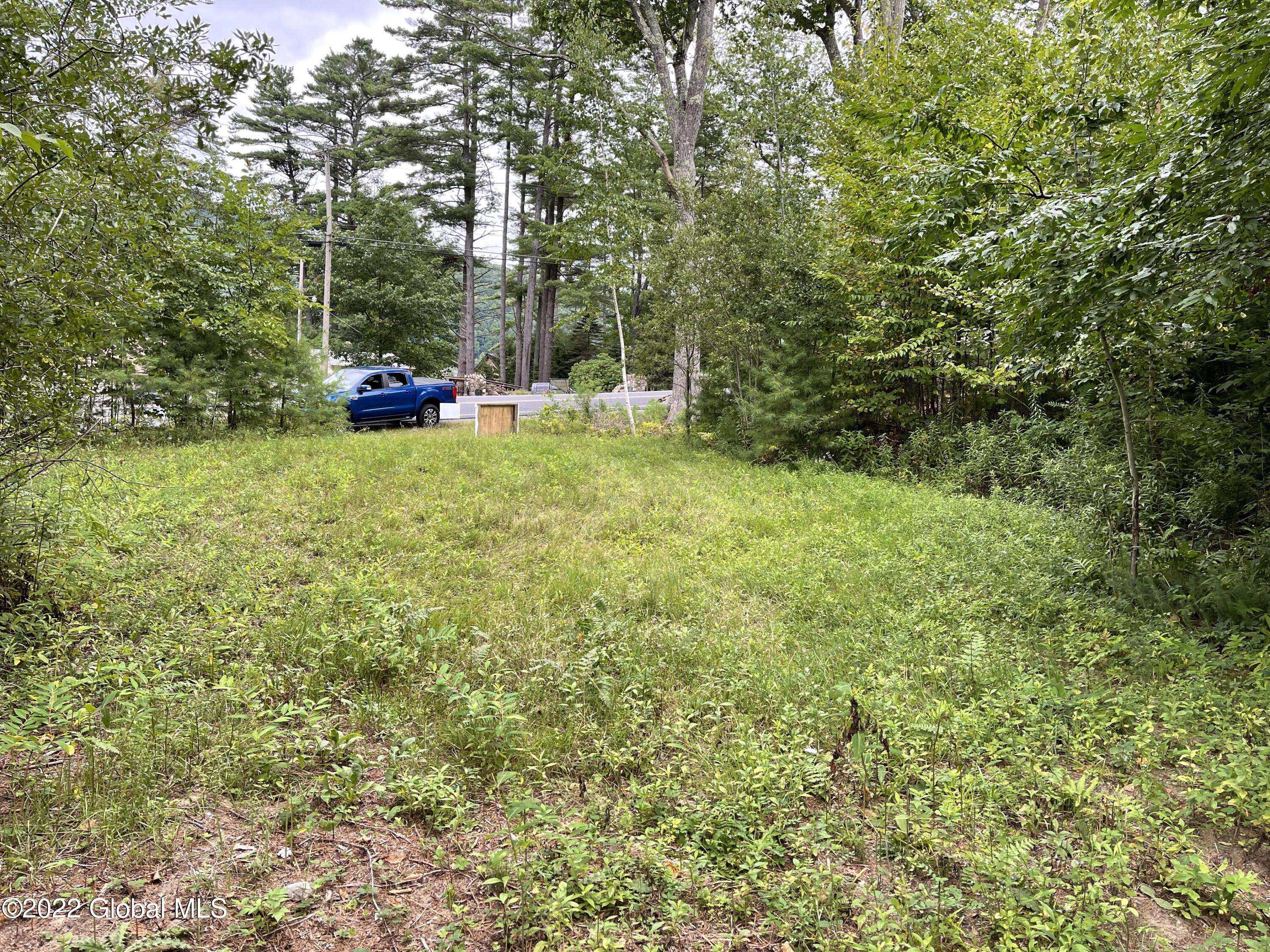 0 South Shore Road Hadley, NY 12835 - Photo 4 of 7 7E2CB0BD-B1B7-46E2-B95C-62BF539CD340