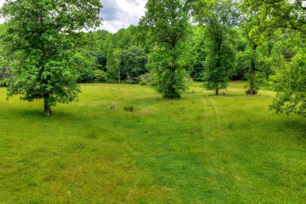 20.11 Mountain View Road McCaysville, GA 30555 - Photo 5 of 51