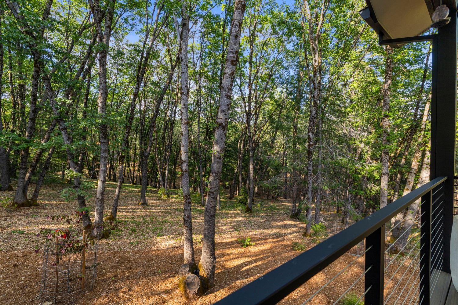 14265 Rattlesnake Ridge Drive Grass Valley, CA 95945 - Photo 85 of 99