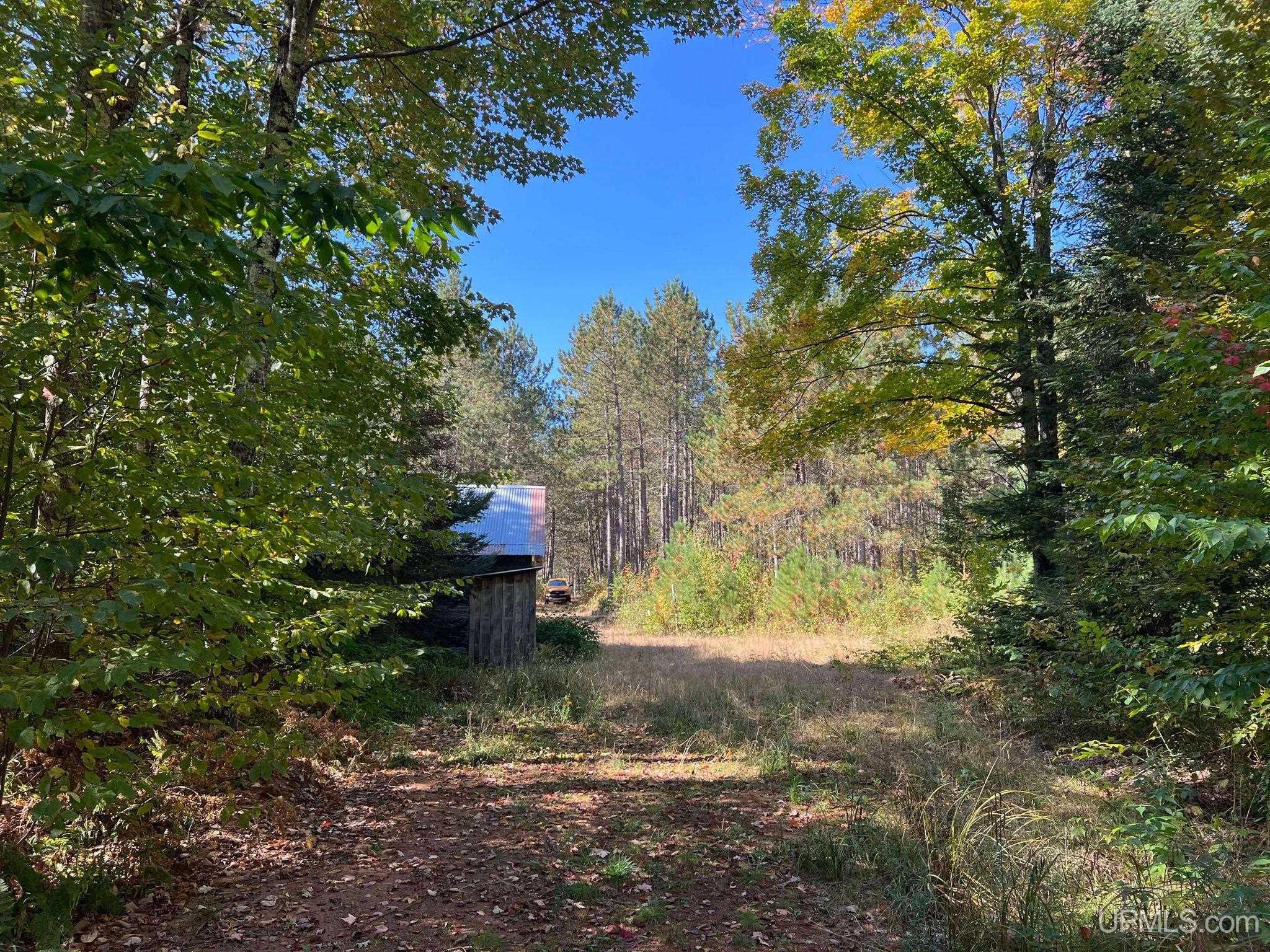 Off Usfs Trail, Unit 2440 Wetmore, MI 49895 - Photo 10 of 34