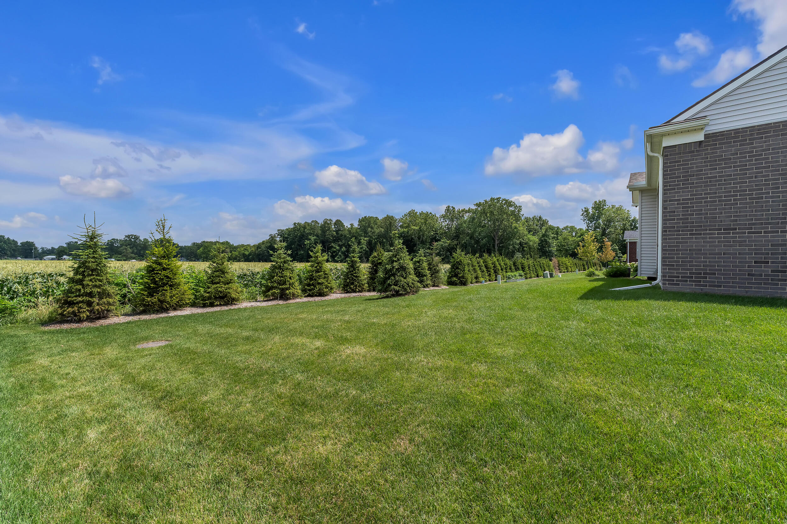 4959 Barnes Road Canton, MI 48188 - Photo 44 of 48 barnes-59