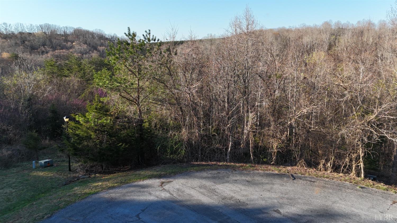 32 Crestview Lane Gretna, VA 24557 - Photo 3 of 9 a view of outdoor space and yard
