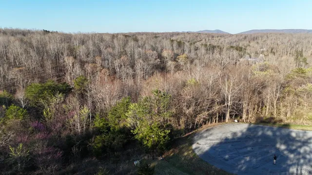 a view of a mountain range with trees in the background