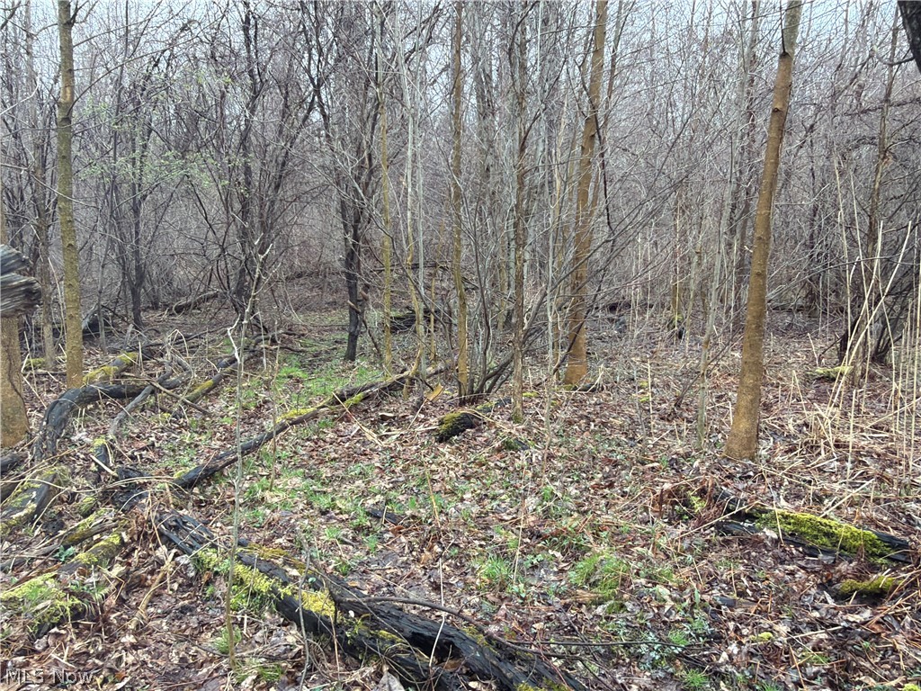Ninevah Road Geneva, OH 44041 - Photo 16 of 20