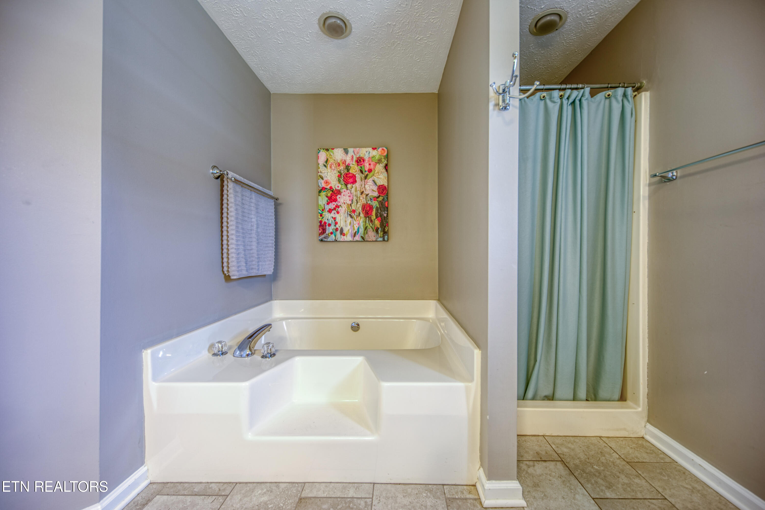 6124 Rivers Run Drive Knoxville, TN 37914 - Photo 25 of 28 Soaking tub