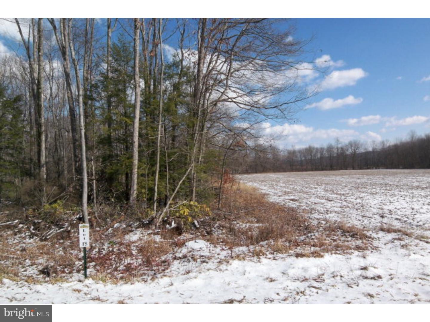 Lot #14 Millhead Road Andreas, PA 18211 - Photo 1 of 1 Gallery Image 1