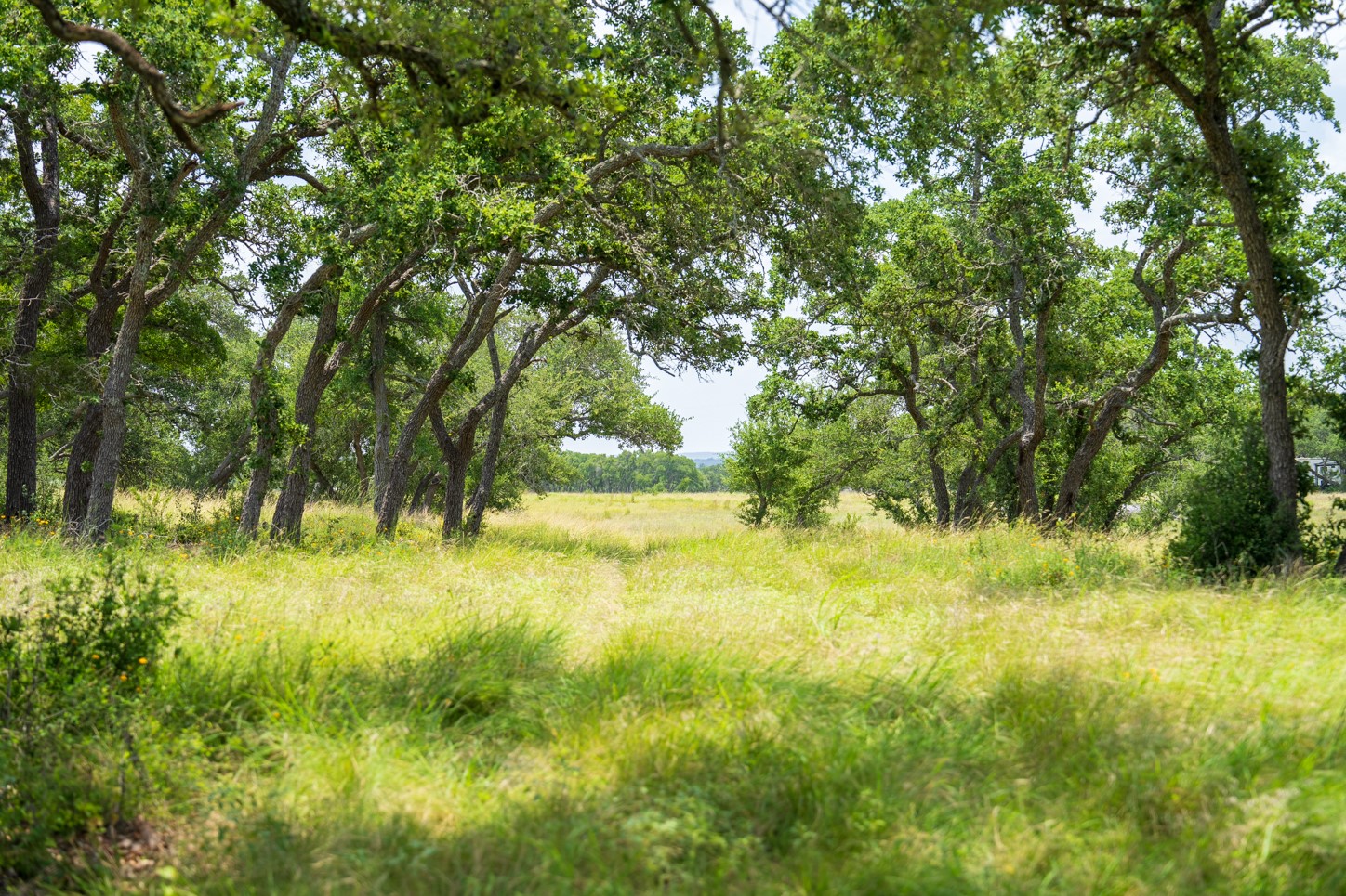 3979 Chimney Valley Road Blanco, TX 78606 - Photo 8 of 34 a view of yard with green space