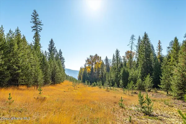 $599,000 | Nna North Moyie River Road, Bonners Ferry, ID 83805