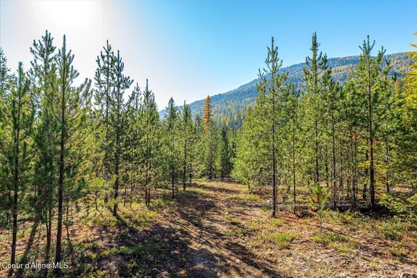 $599,000 | Nna North Moyie River Road, Bonners Ferry, ID 83805