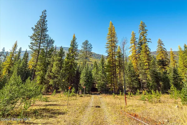 $599,000 | Nna North Moyie River Road, Bonners Ferry, ID 83805