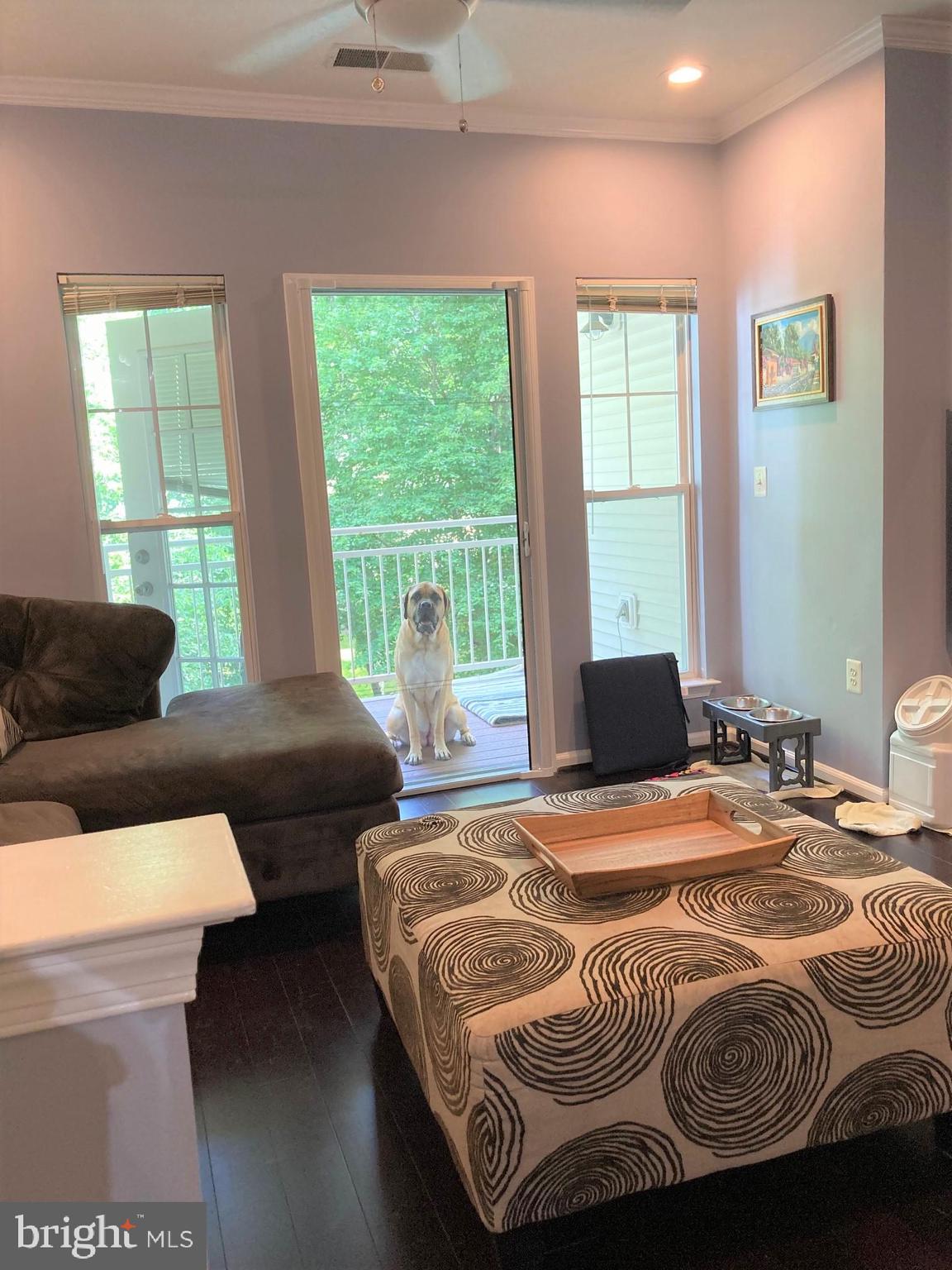 1509 North Point Drive, Unit 303 Reston, VA 20194 - Photo 4 of 30 LIving Room & Balcony (dog doesn't convey!)