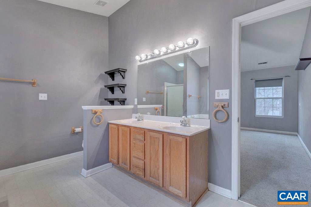 46 Laguna Road Palmyra, VA 22963 - Photo 16 of 37 a bathroom with a sink a mirror and a shower