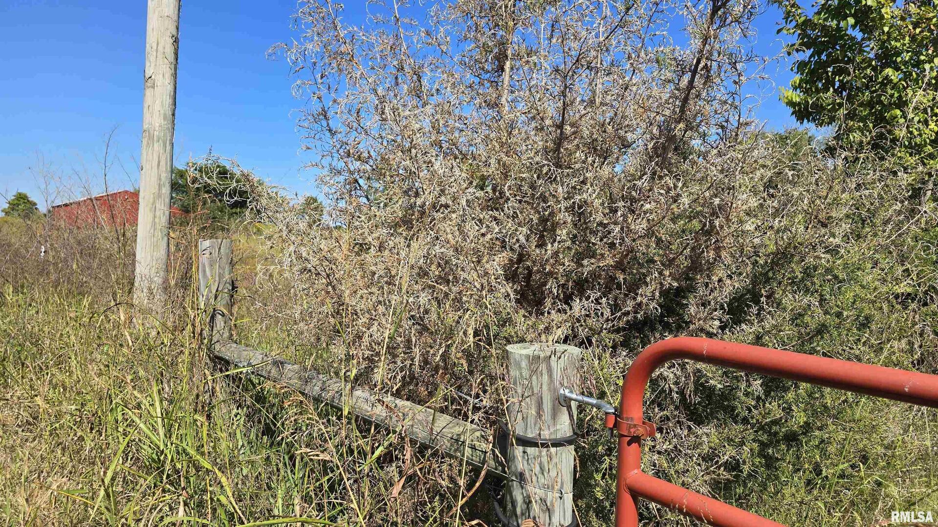 0 Mt Pisgah Road Vienna, IL 62995 - Photo 18 of 24