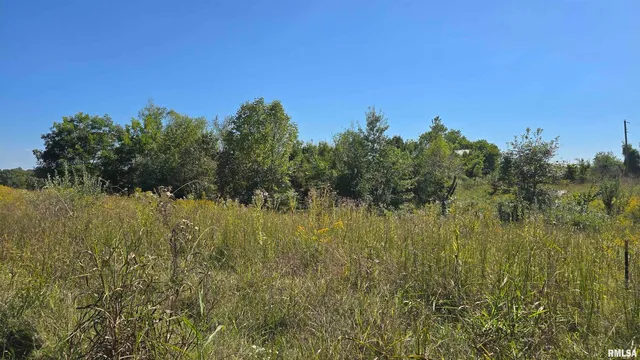 0 Mt Pisgah Road, Vienna, IL 62995