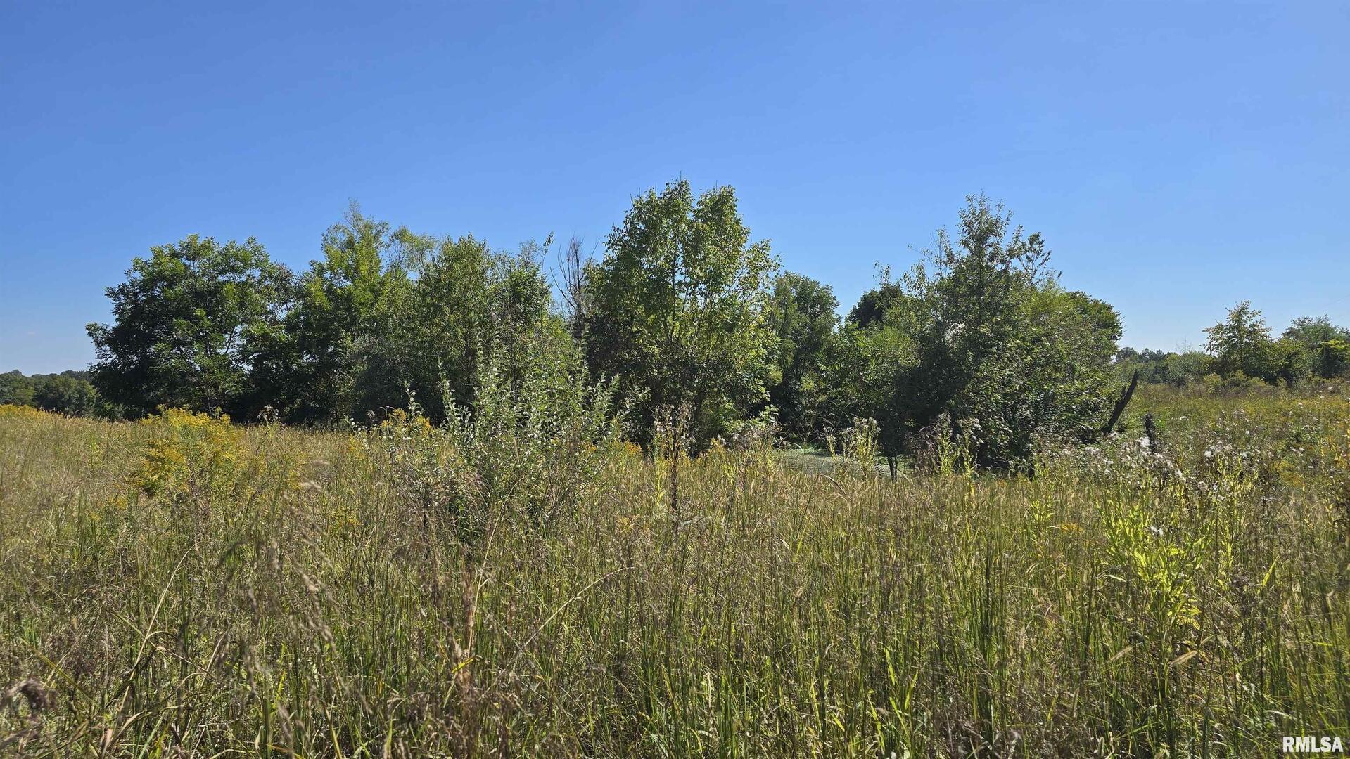 0 Mt Pisgah Road Vienna, IL 62995 - Photo 5 of 24 a view of a bunch of trees and bushes