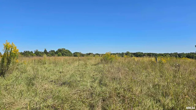 0 Mt Pisgah Road, Vienna, IL 62995