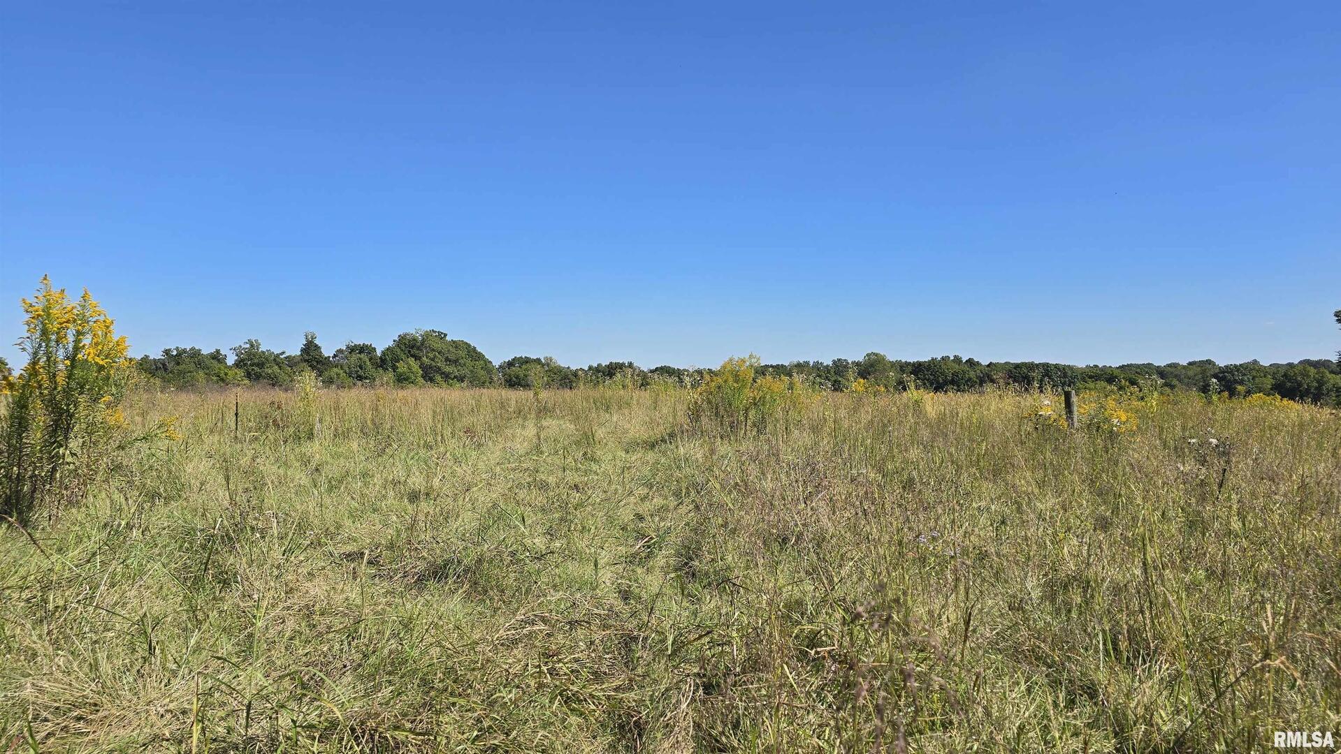 0 Mt Pisgah Road Vienna, IL 62995 - Photo 6 of 24