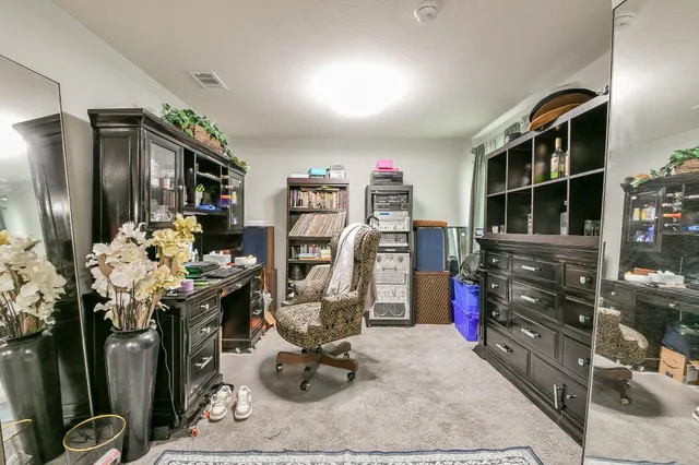 a room with furniture a chandelier and potted plant