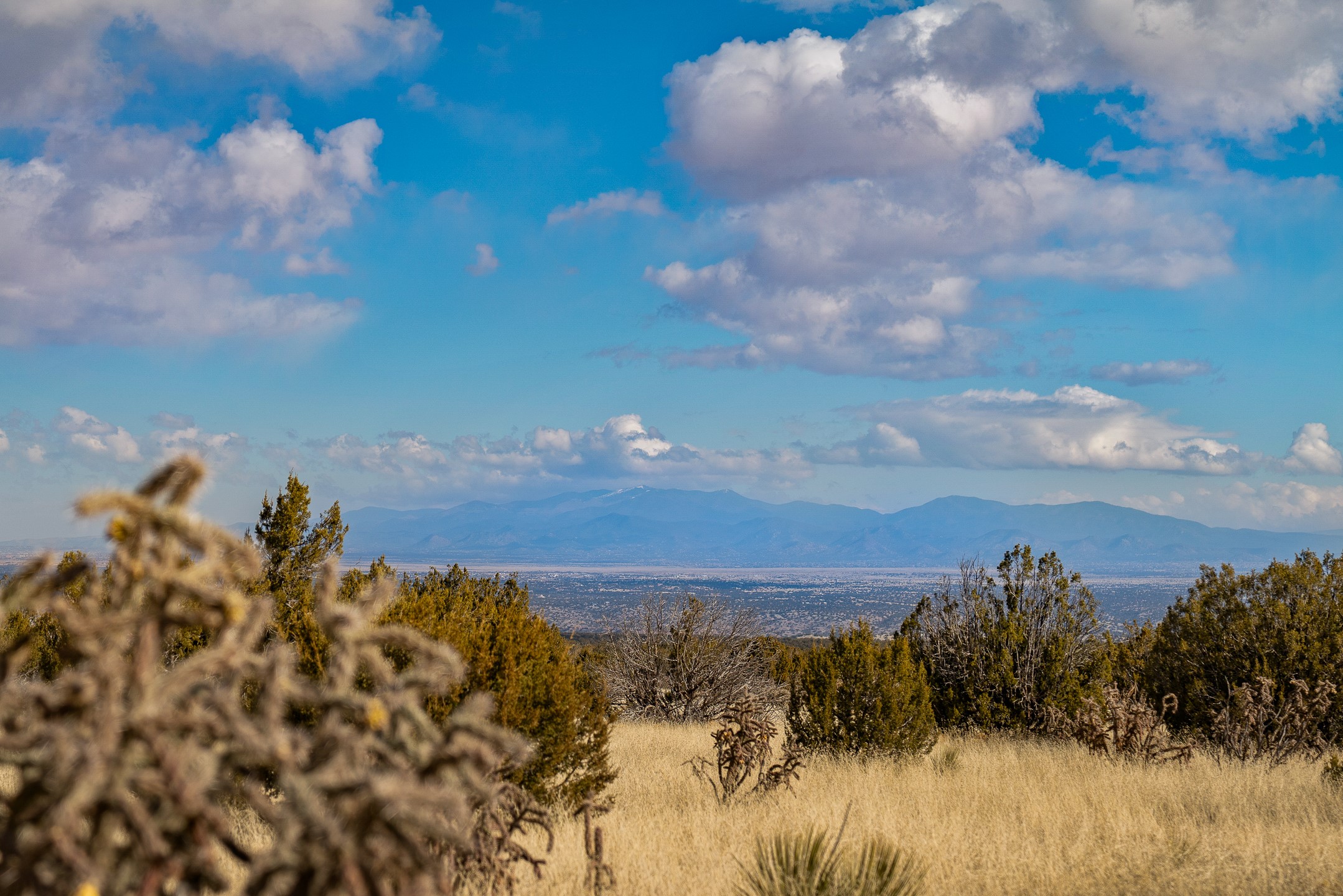 156 Wagon Trail Road Cerrillos, NM 87010 - Photo 2 of 24