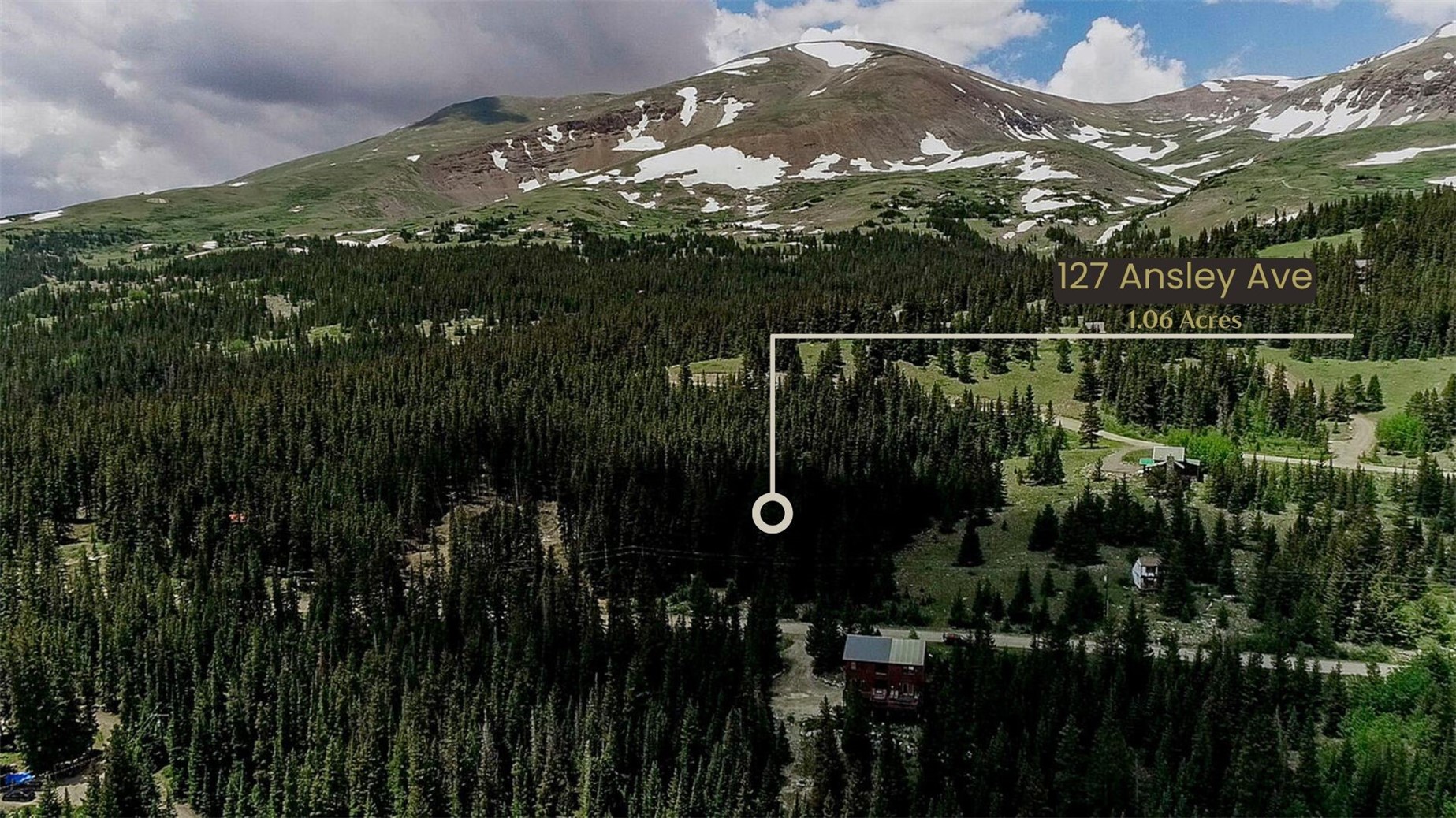 127 Ansley Road Alma, CO 80420 - Photo 1 of 21 Property view of mountains