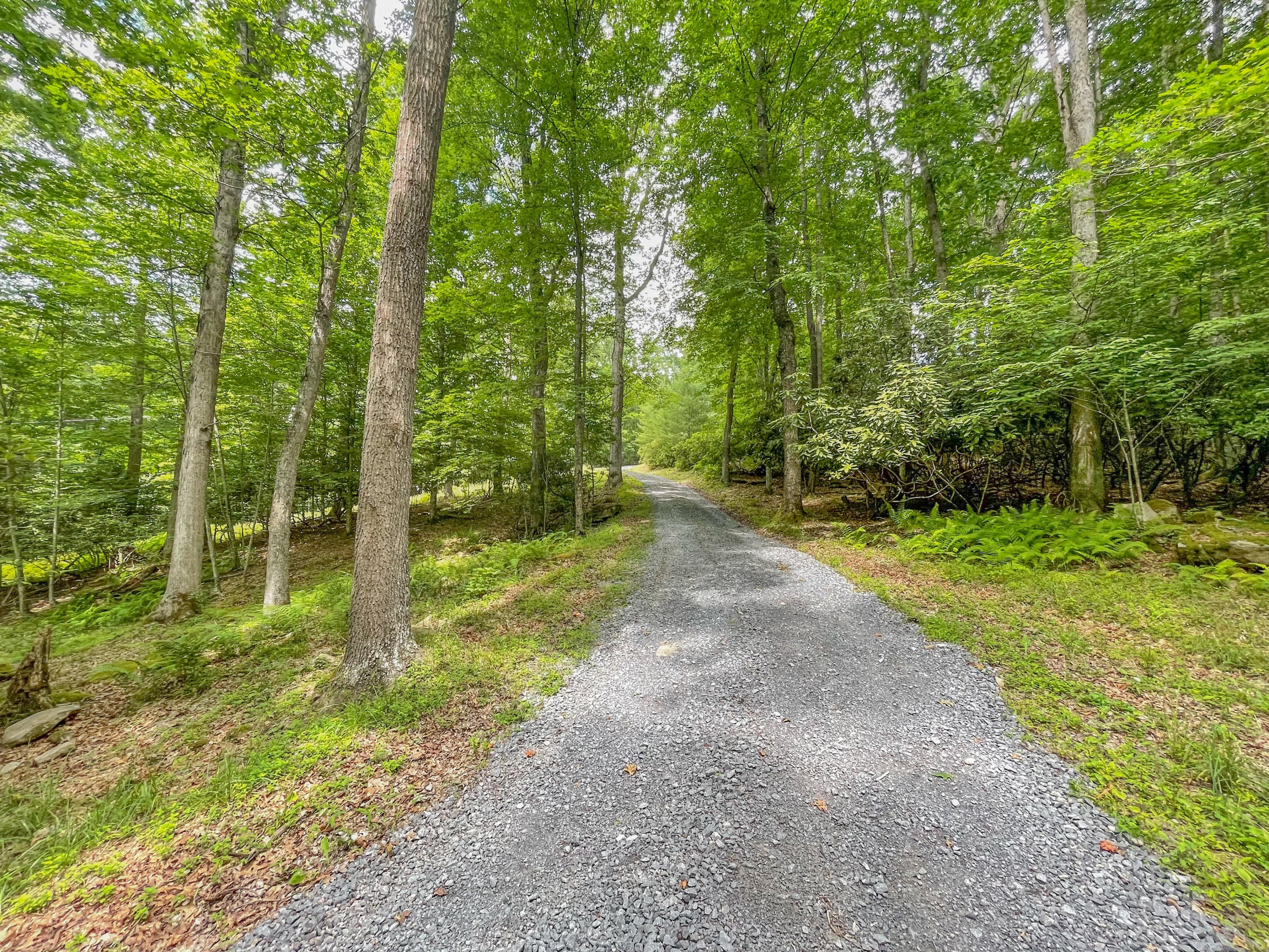 530 Fox Trail Road Crawley, WV 24931 - Photo 60 of 62 Gallery Image 60