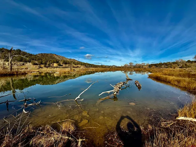 a view of a terrace with furniture