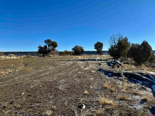a view of towel hanging in the background