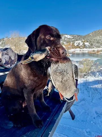 $4,800,000 | 7149-7498 Cr 213 Durango Co 81301, Durango, CO 81303