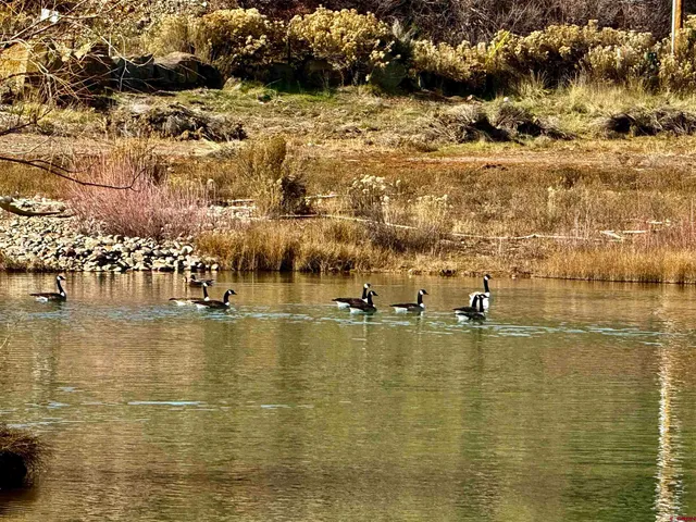 $4,800,000 | 7149-7498 Cr 213 Durango Co 81301, Durango, CO 81303