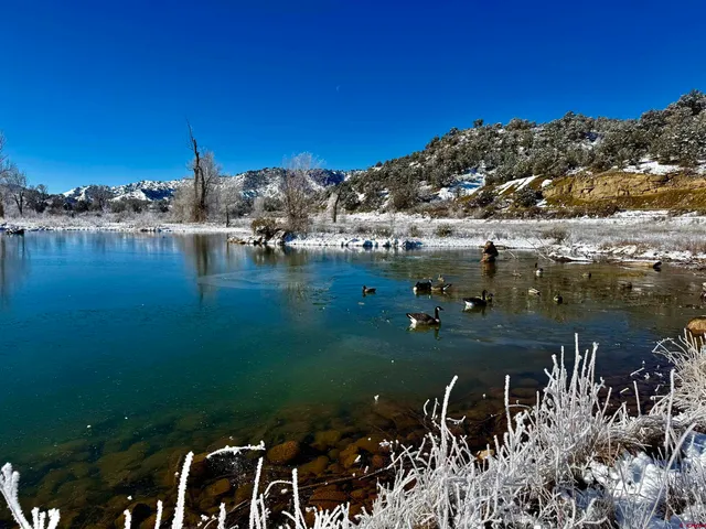 a view of a lake with a mountain in the background