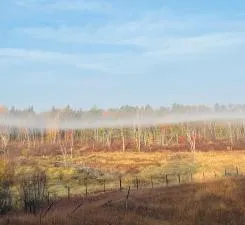 $117,900 | 134 County Road 134, Pine River, MN 56474