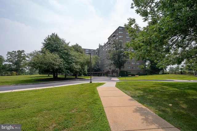 a view of a park with trees