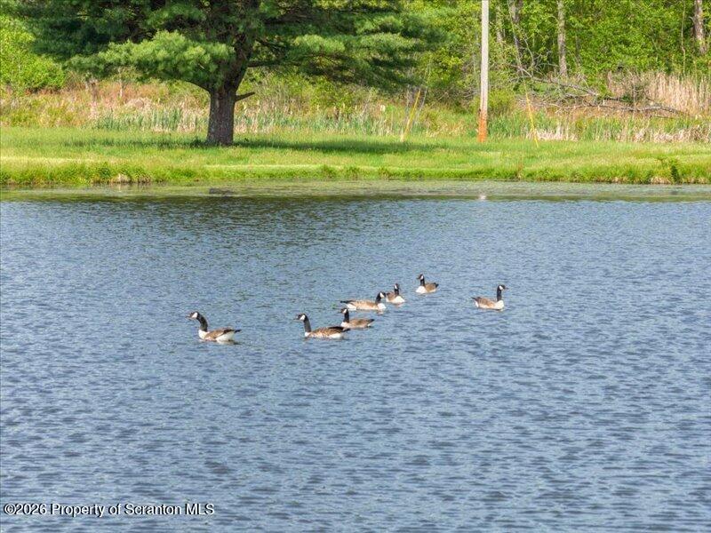 9-17 Vago Road Tunkhannock, PA 18657 - Photo 36 of 57 Pond
