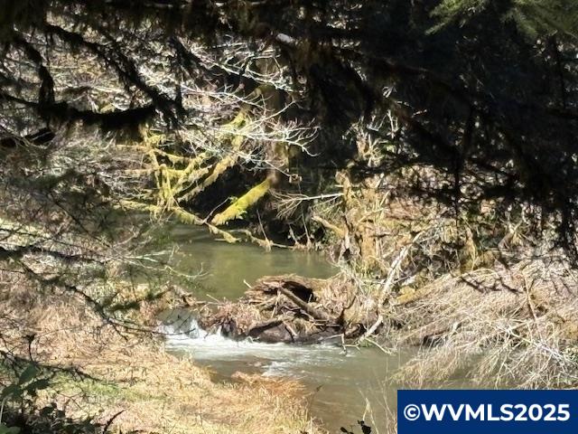 0 Logsden Road Blodgett, OR 97326 - Photo 14 of 24