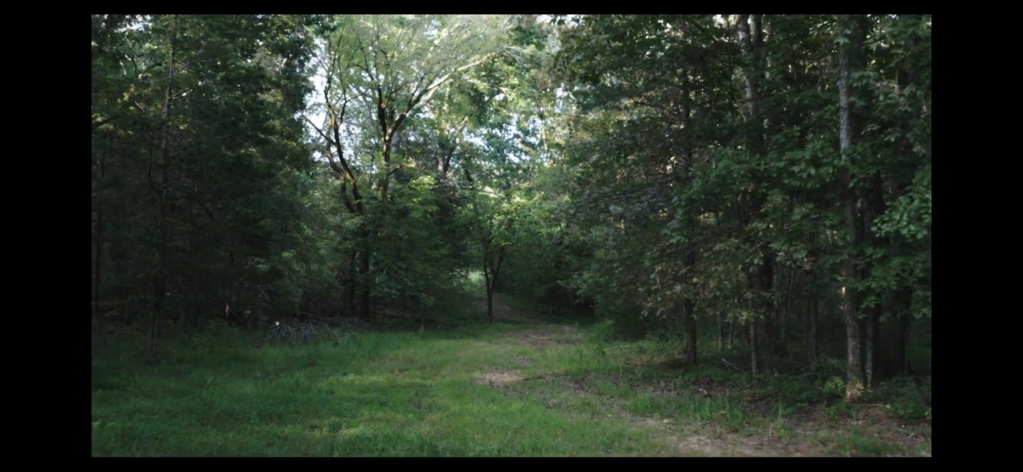 4840 Joe Peay Road Spring Hill, TN 37174 - Photo 21 of 45 Gallery Image 21