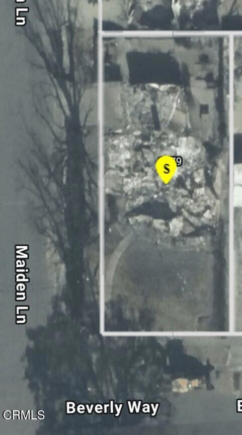 Picture1