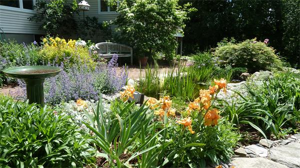 436 Harvard Road Bolton, MA 01740 - Photo 24 of 25