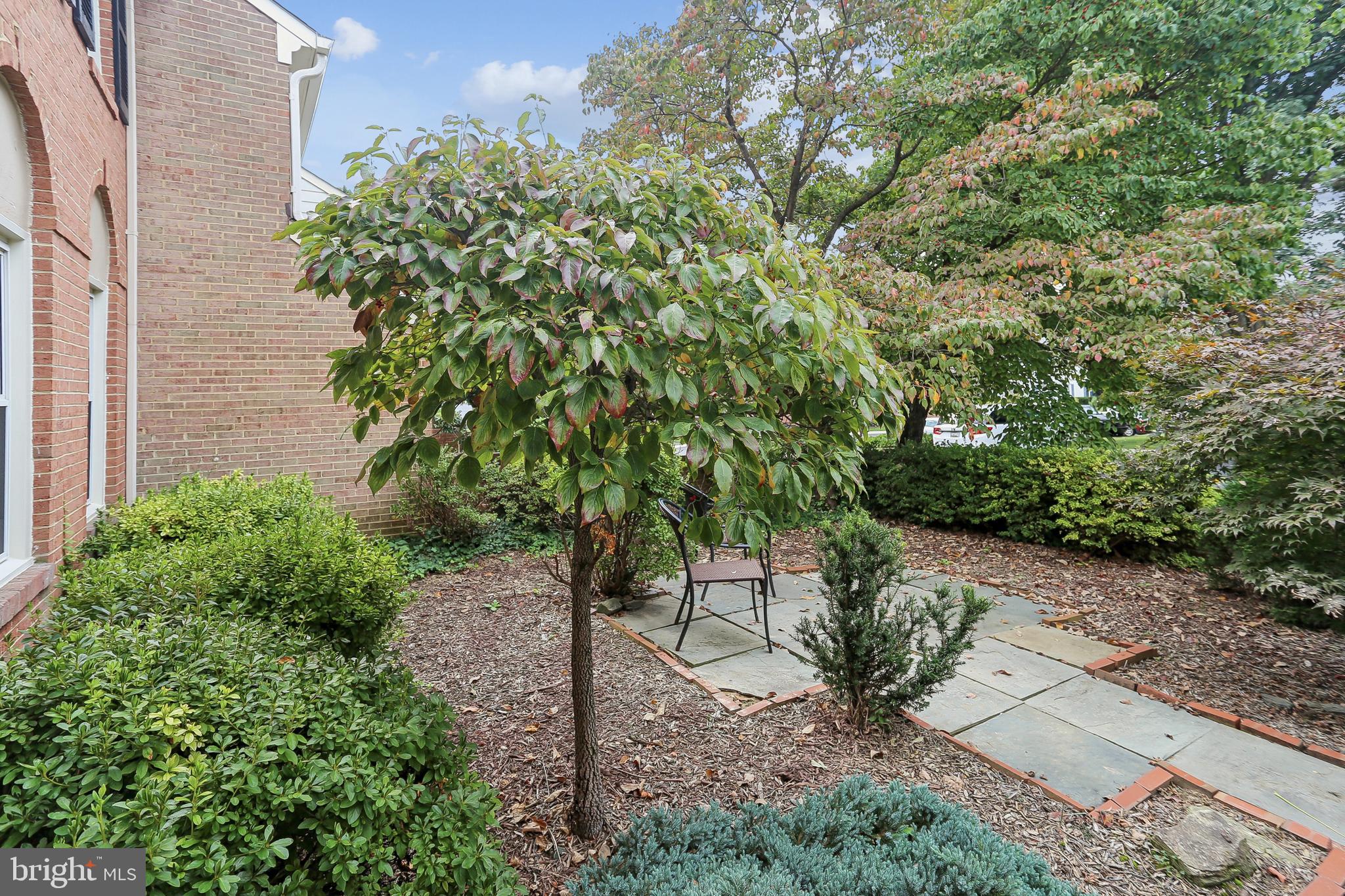 10233 Gainsborough Road Potomac, MD 20854 - Photo 47 of 50 a view of a pathway with a tree