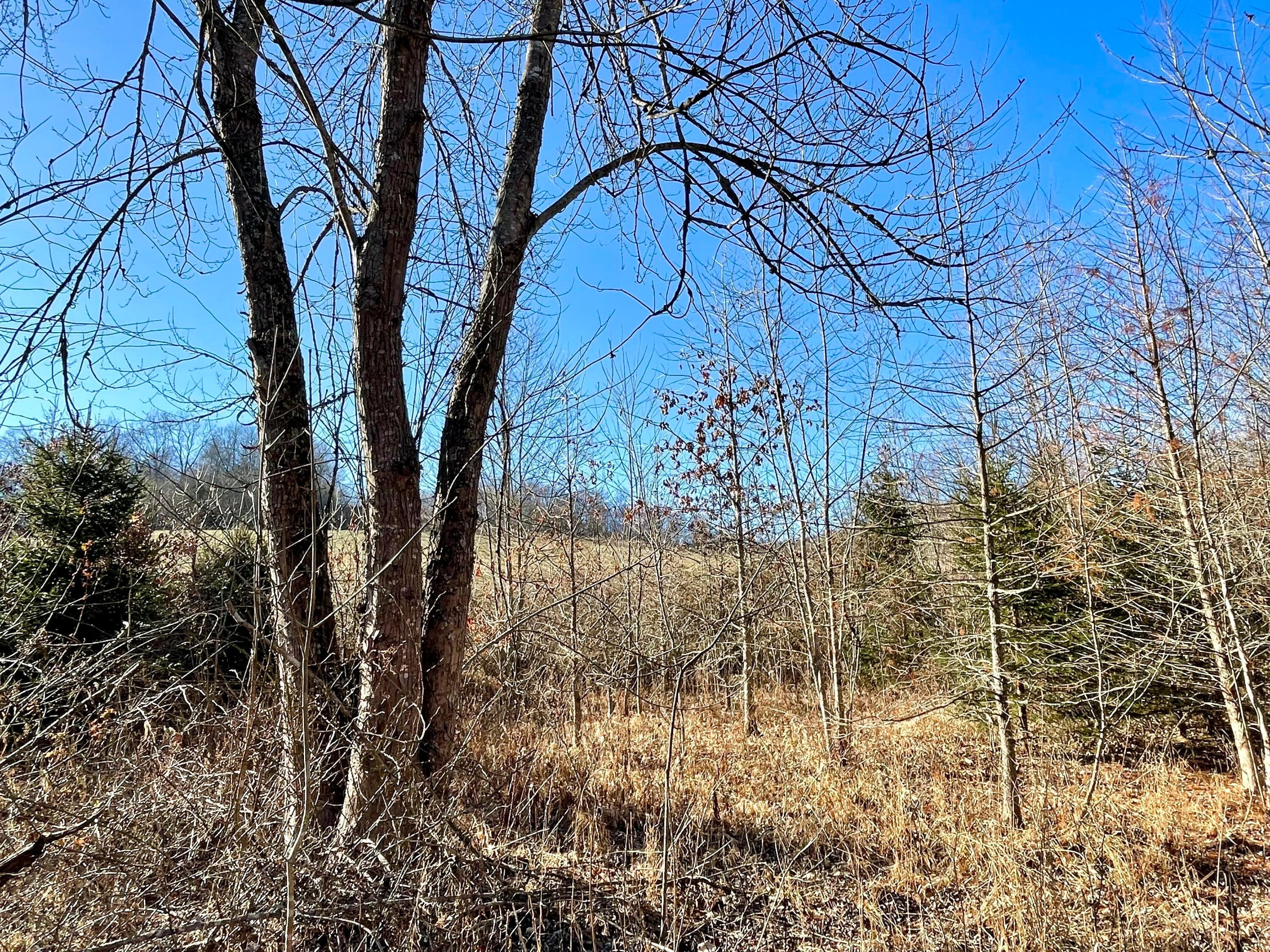 1368 Allen Road Beaver, OH 45613 - Photo 63 of 77 Looking toward the pasture.
