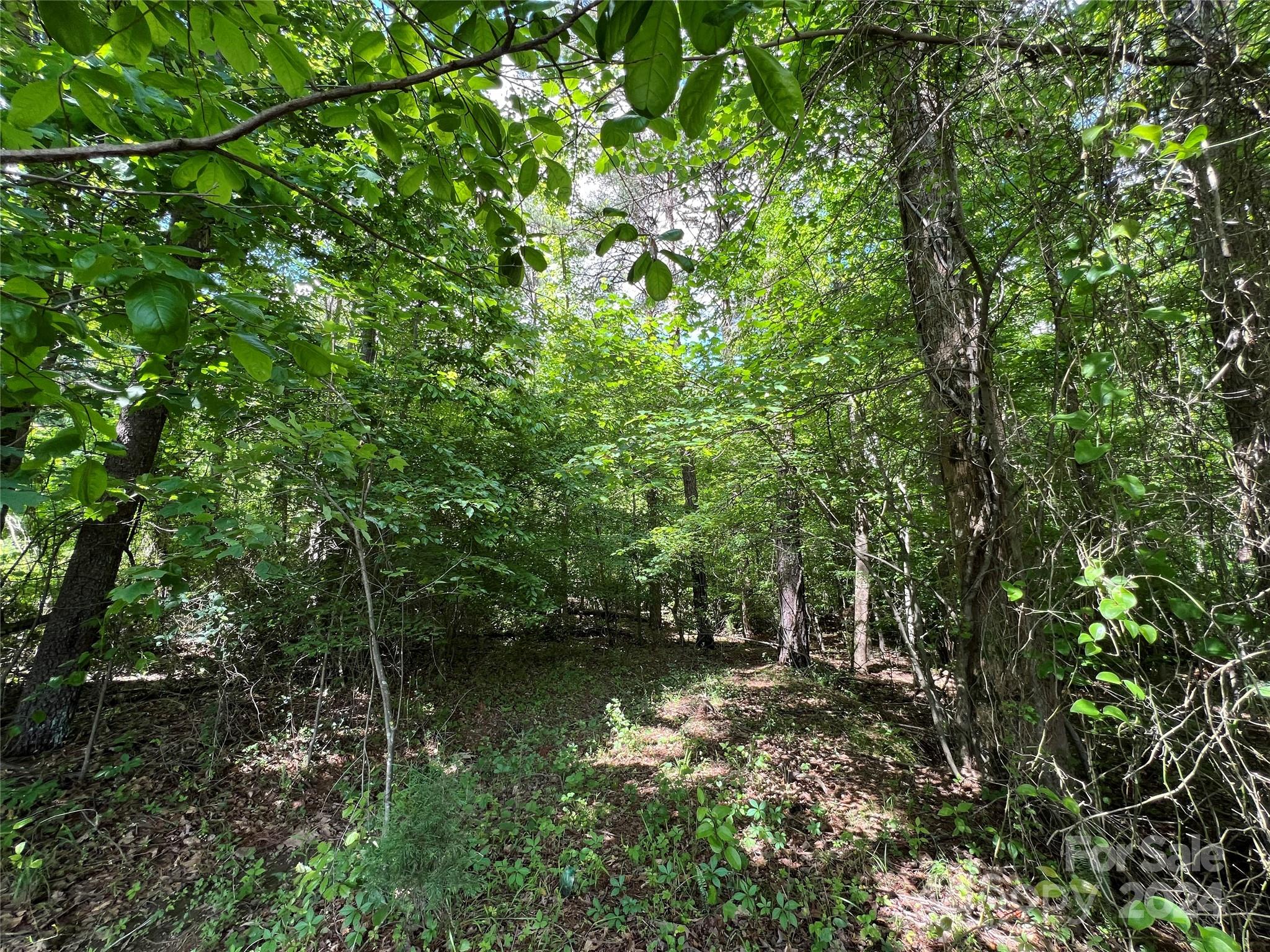 0 Rupard Road, Unit 2 Statesville, NC 28625 - Photo 4 of 5 a view of lake with green space