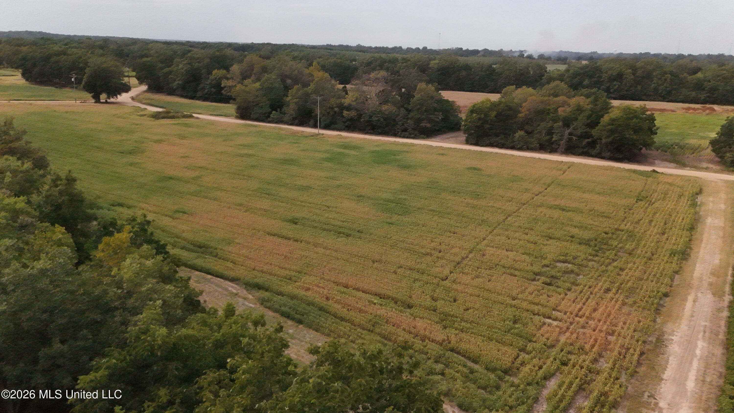 3342 Campbell Road Tutwiler, MS 38963 - Photo 3 of 25 DJI_20260820181850_0557_D