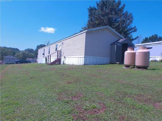 a view of a backyard with potted plants and large tree