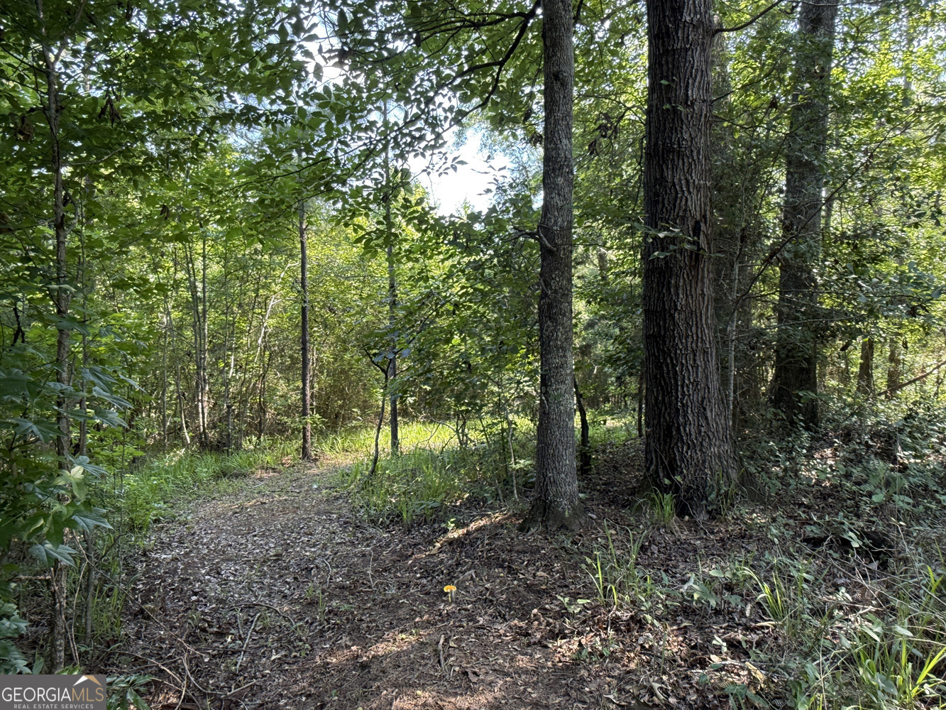 651 Branan Road Toomsboro, GA 31090 - Photo 9 of 53
