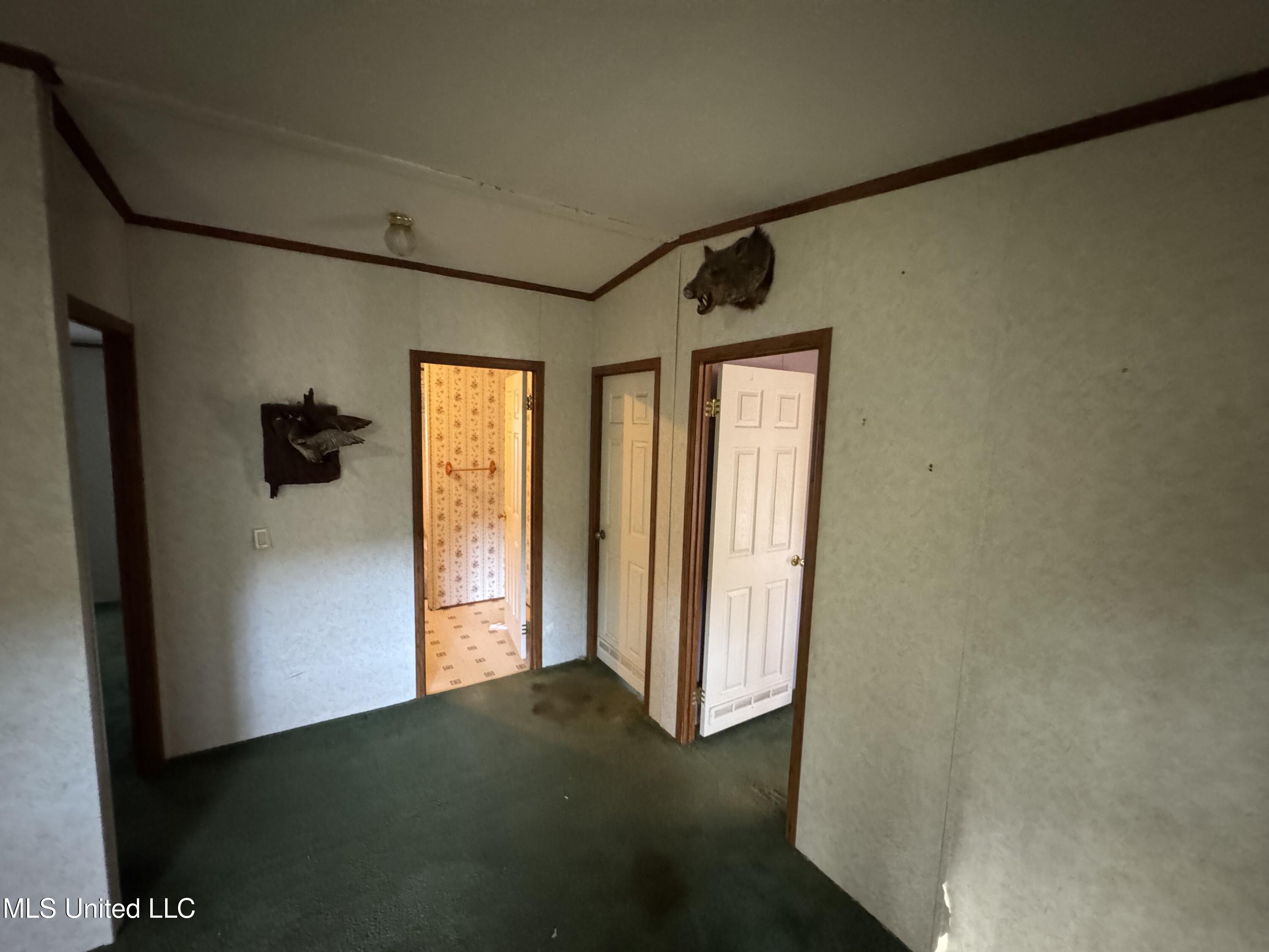 2041 King Road Southaven, MS 38672 - Photo 16 of 22 IMG_4255