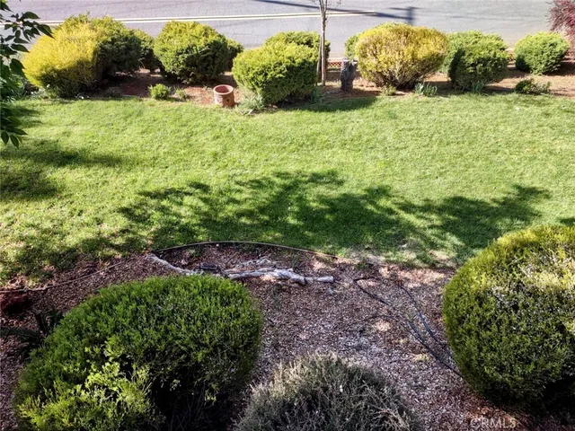 a view of a garden with a building